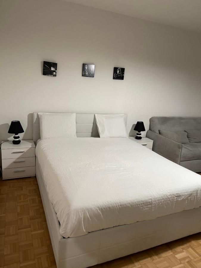 Cosy Apartment - Geneva Centre Екстериор снимка