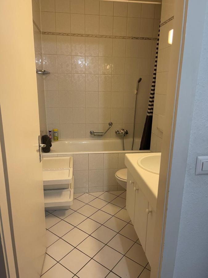 Cosy Apartment - Geneva Centre Екстериор снимка